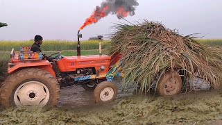 alghazi tractor pushing the spine | alghazi tractor with sugarcane trolley | tractor in mud