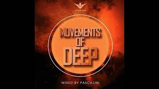 movement of deep vol 24 mixed by Pascalini