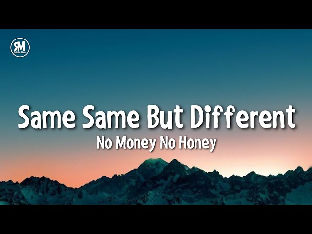 same same but different no money no honey class=
