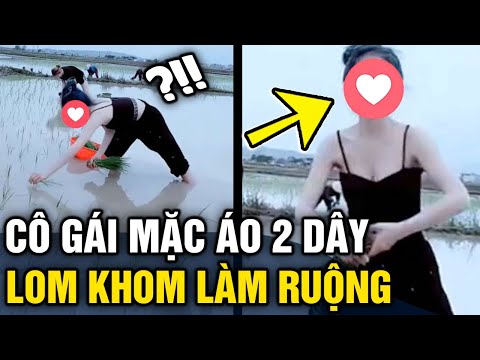 Video Cô gái 'MẶC ÁO 2 DÂY' ngắn cũn cỡn đi 'LÀM RUỘNG' gây... - youtube