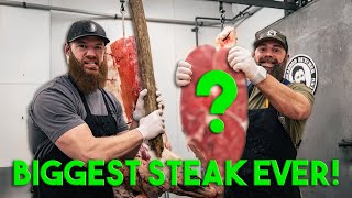 Cutting The Biggest Steak on a Cow! | Caveman Steak