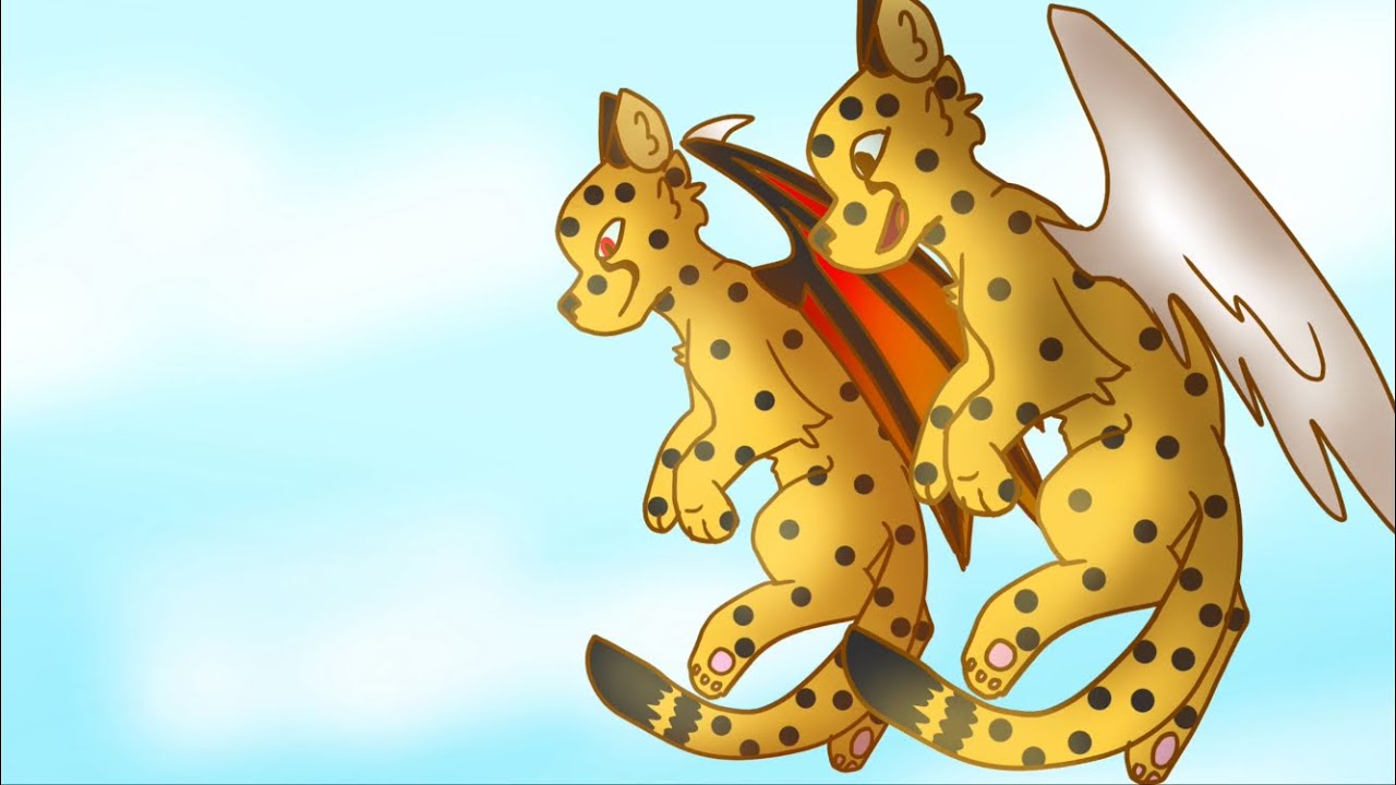 Don’t stop M.A.P. || part 3 + 11 + 12