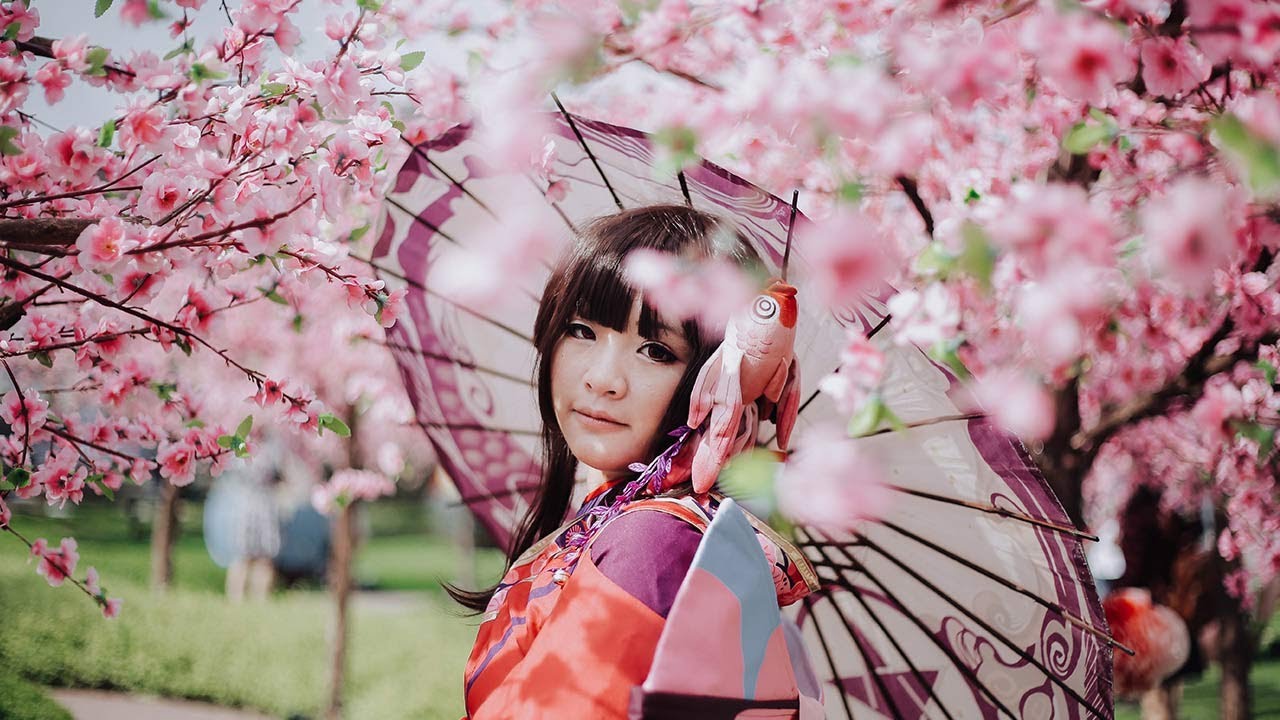 Японская песня сакура. Цветение Сакуры и девушка. Японка под сакурой. Японка Цветущая Сакура. Японка в цветущем саду.