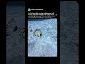 HOW FISH BLOWS FOR FOOD