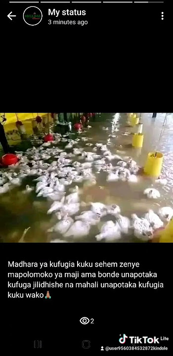 ufugaji wa chini pia nao unachangia kiasi kikubwa tunawasihi tumieni economy cege zetu mkulimasmart