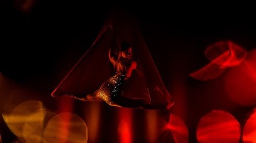 Little Fox - Edits  (Official Video)