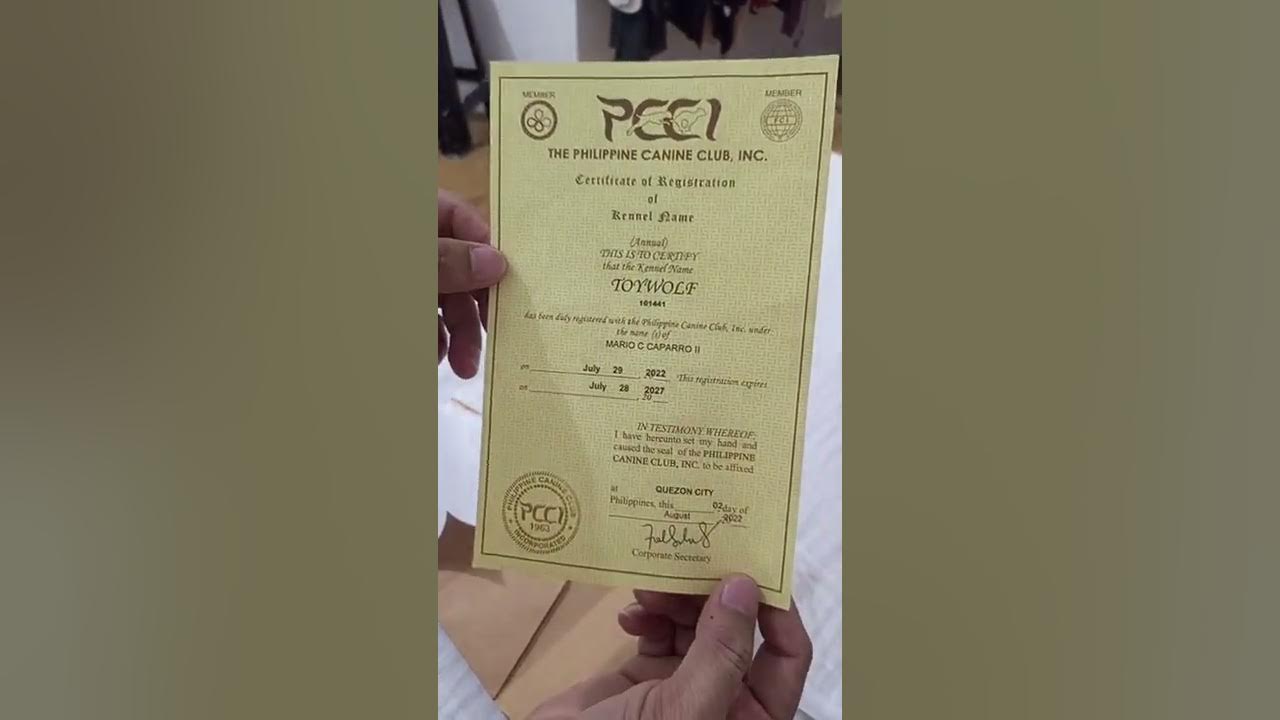 Unboxing my Kennel Name package from PCCI.. YouTube