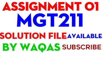 MGT211 Assignment 1 Solution Spring 2021||MGT211 Assignment 1 Solution 2021
