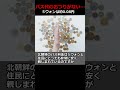 【ローテク】釣銭がなくても諦めない！北朝鮮人の行動は！？