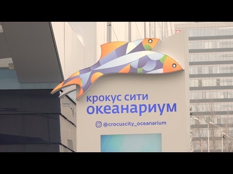 Открытие «Крокус Сити Океанариума»