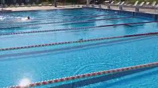 Bazen Brestanica-Saving Little Duck