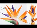 Wafer Paper Bird of Paradise 🦜 Strelitzia