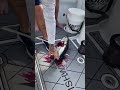 Bleeding out a tuna