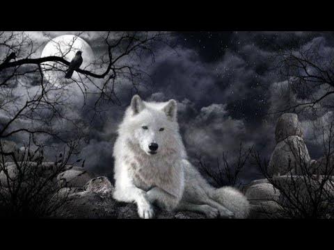 "Белая волчица". На стихи Наталии Пугачевой. - YouTube