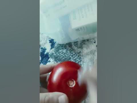 я зделал укол в 🍅 🍅 🍅 🍅 🍅 - YouTube