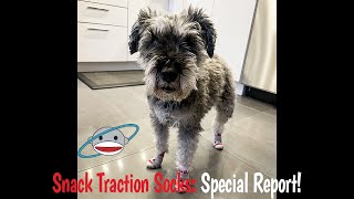 Snack Traction Socks–Special Report