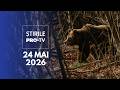 Știrile PRO TV - 24 Mai 2026 | Urs într-un hotel din Poiana Brașov