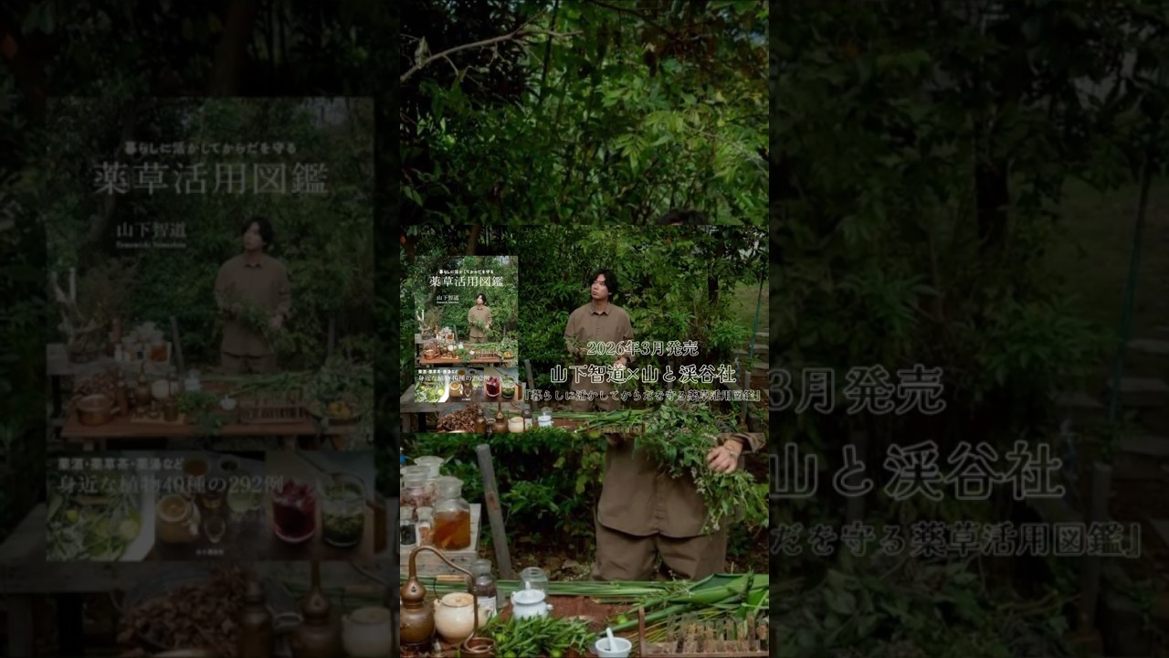 3/17発売『暮らしに活かしからだを守る 薬草活用図鑑』｜山下智道