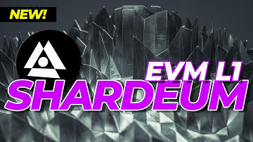 Claim 100 SHM from Shardeum faucet!