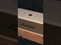【感動】Marshall MIDDLETON 音楽のある暮らしが数段豊かになるワイヤレススピーカーをレビュー! #shorts