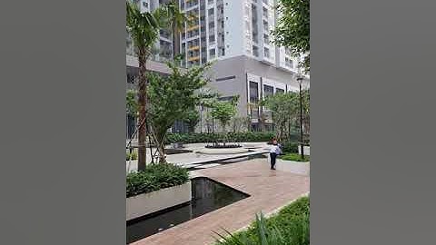 8 THÁNG 11, 22 CHÓ ĐI LẠC VÀO Q7 SÀI GÒN REVERSIDE COMPLEX - BÀ CON CƯ DÂN CHIA SẼ ĐỂ CHỦ NHẬN VỀ Ạ!