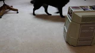Hero Jr. in GUARD mode, a personal security system from 1984