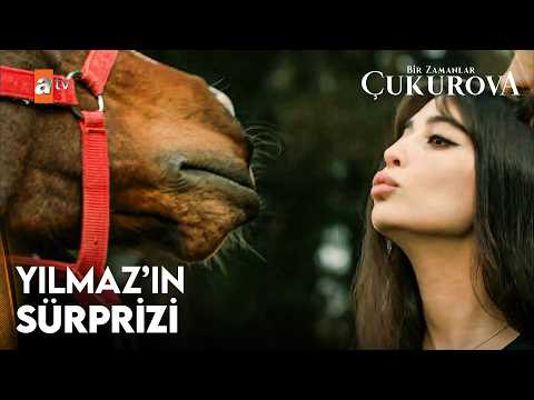 Müjgan'ın hayvan sevgisi - Bir Zamanlar Çukurova 28. Bölüm