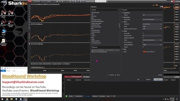 How Does BloodHound Interact with Other Data Series timeframes that are on a Chart