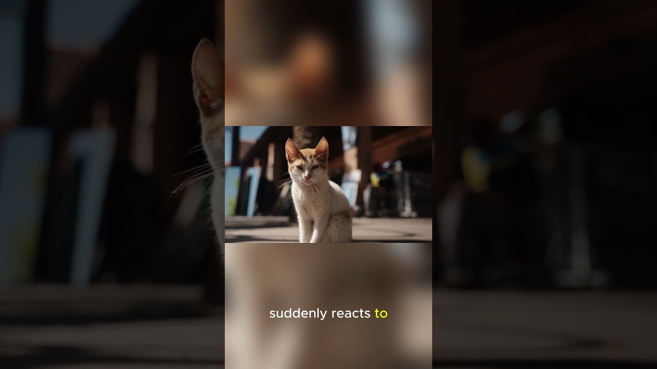 Do Cats See Ghosts? | Cat Myths Explained 👻🐾