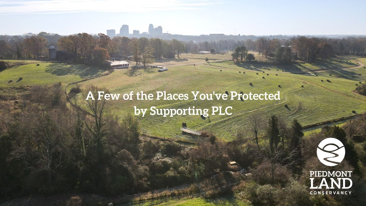 A Few of the Places You've Protected by Supporting Piedmont Land