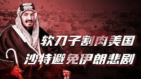黑凤凰：小萨勒曼传（二）：美国露出软肋，沙特逐渐控制阿美石油 - 天天要闻