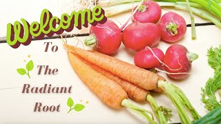 Welcome To The Radiant Root