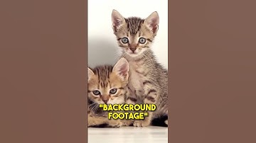 A Classic Yet Disgusting Website..