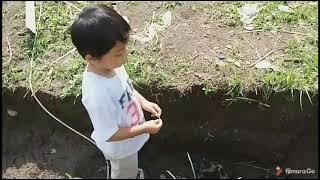 Anak Bebek Lucu Anak Bermain Bebek Entok Hasan Main Sama Bebek Kecil