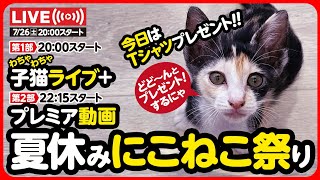 🔴【7月26日(土) 20時スタート】わちゃわちゃ子猫ライブ！豪華Tシャツプレゼント🎁