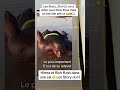 #himra #cotedivoire Himra aperçu dans une salle avec Rick Ross 😱#rapivoire #rickross