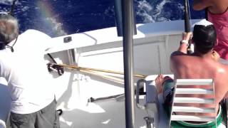 James and the Giant Marlin!