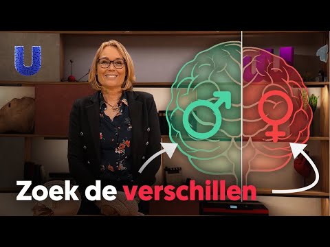 Hebben vrouwen een ander brein dan mannen?