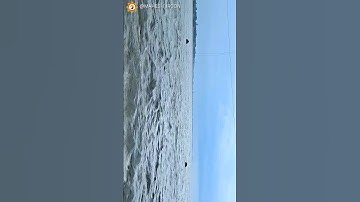 Flooded Ganga | नदिया चले, चले रे धारा @MAHESH_IRCON