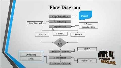 A Feature Learning and Object Recognition Framework for Underwater Fish Images