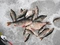 секреты рыбалки рыбалка зима подлеща РСН