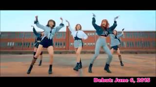 Playback Members Profile