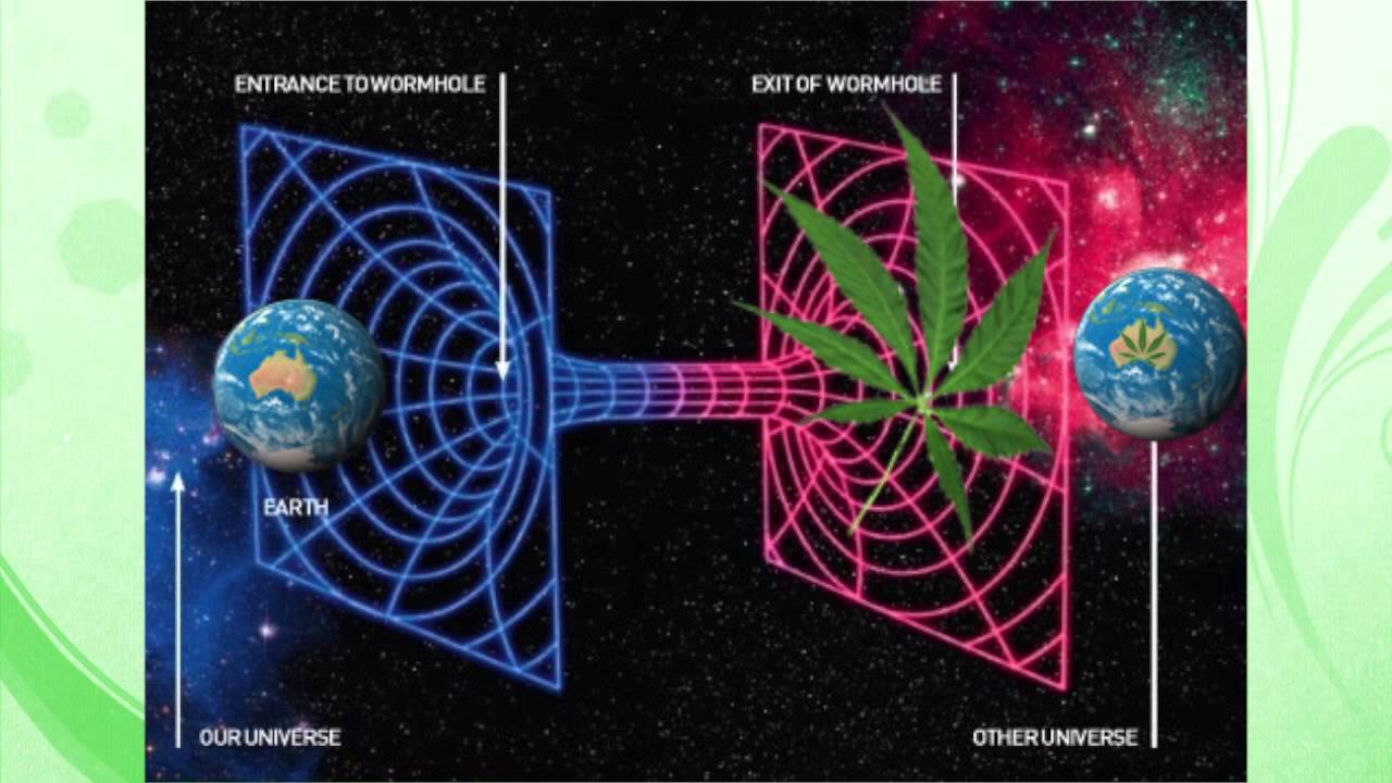 QUEEN OF THE FOREST *** Jahdan Blakkamoore *** Illuminati Congo ***