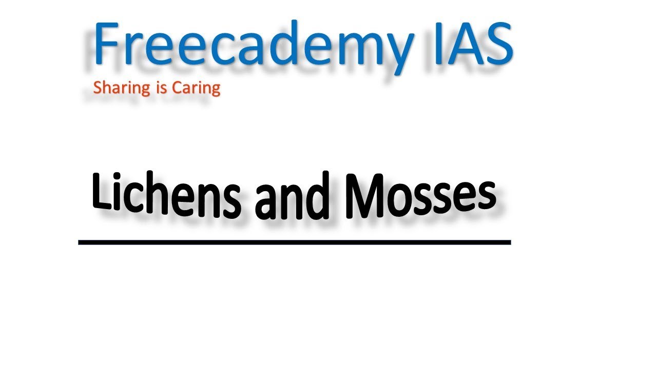 Lichens and Mosses | 