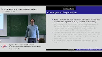 Joseph Najnudel: Eigenvector convergence for minors of unitarily invariant infinite random matrices