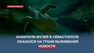 Катастрофический год: владелец Севастопольского аквариума просит горожан о помощи