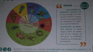 Los animales vertebrados e invertebrados