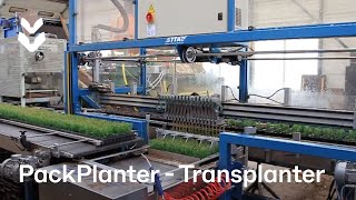 TTA-ISO PackPlanter - Transplanter - Strong rooted plugs  - Net 16.000 plugs per hour screenshot 5