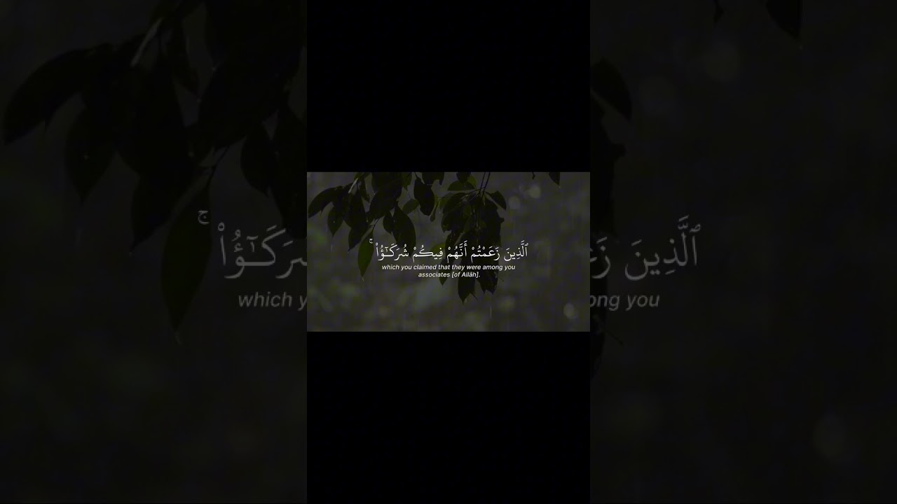 أكتب شيء تؤجر عليه 🖤#quran #قران #ياسر_الدوسري