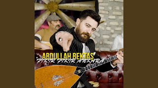 Aklımı Aldın Yarim
